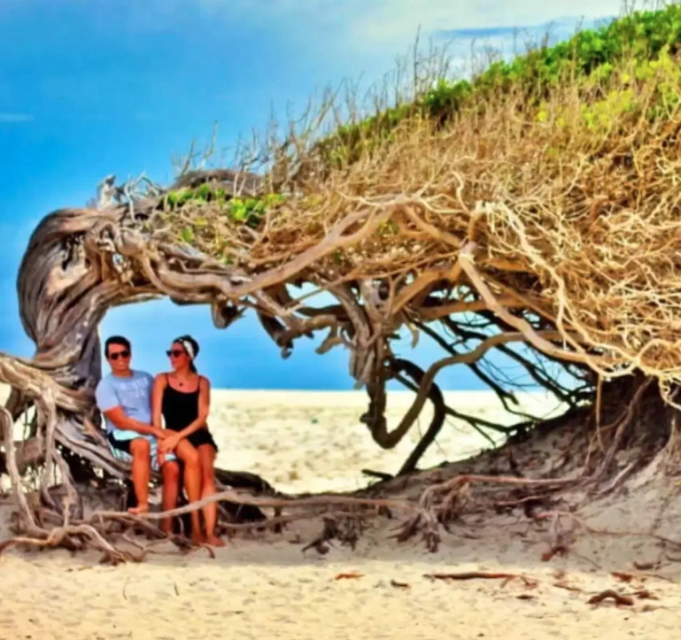 Captura de tela de 2026-03-27 09-02-25